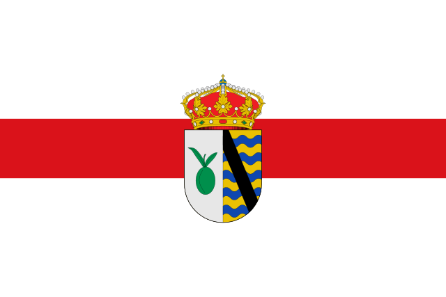 Bandera Oliva de Plasencia