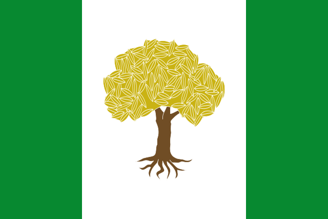 Bandera Olivares de Júcar