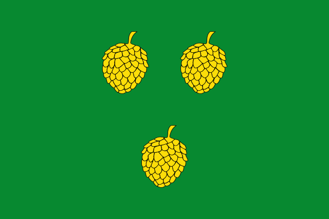 Bandera Pinell de Solsonès