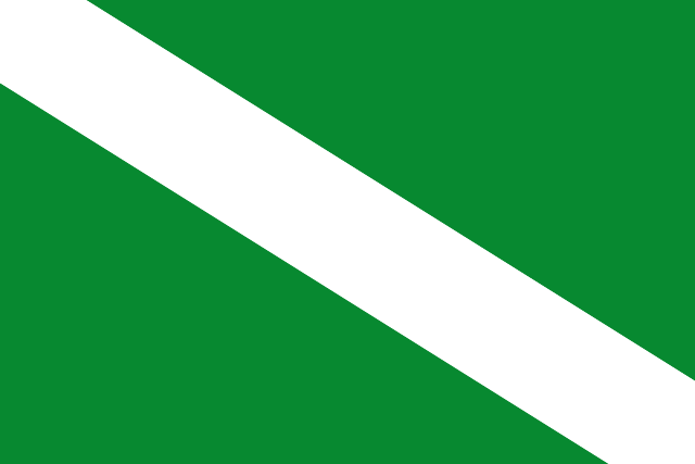 Bandera Rielves