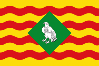 Tu Bandera - Bandera de Sant Feliu de Buixalleu