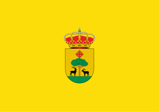 Bandera Solana del Pino