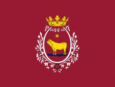 Tu Bandera - Bandera de Teruel