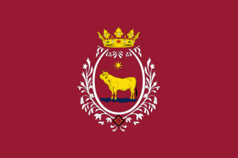 Tu Bandera - Bandera de Teruel