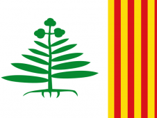 Tu Bandera - Bandera de Teyá (Teià)