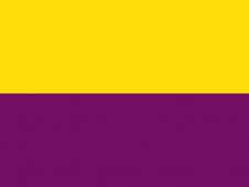 Tu Bandera - Bandera de Torrejón de Ardoz