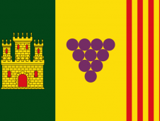 Tu Bandera - Bandera de Torrelavit