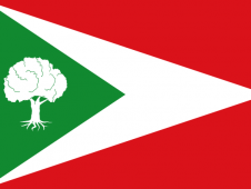 Tu Bandera - Bandera de Tosantos
