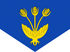 Tu Bandera - Bandera de Valle de Cardós