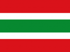 Tu Bandera - Bandera de Vegaviana