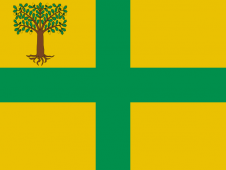 Tu Bandera - Bandera de Verea