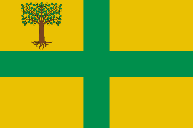 Bandera Verea