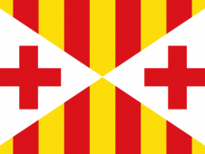Tu Bandera - Bandera de Vich (Vic)