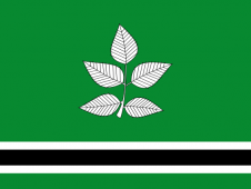 Tu Bandera - Bandera de Vidrà