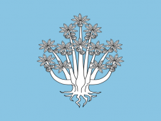 Tu Bandera - Bandera de Viladrau