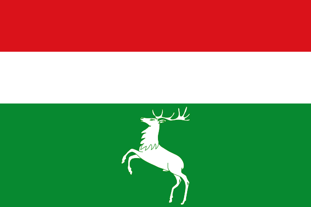 Bandera Villardeciervos