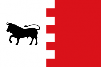 Tu Bandera - Bandera de Villavaquerín