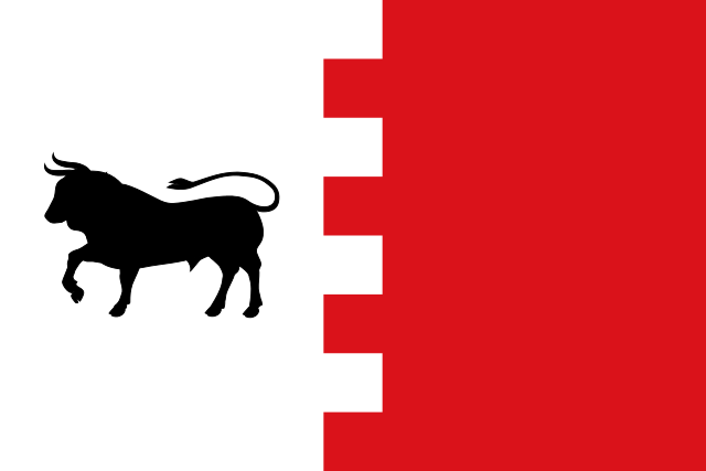 Bandera Villavaquerín