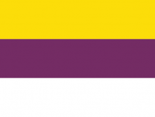 Tu Bandera - Bandera de Viñols y Archs