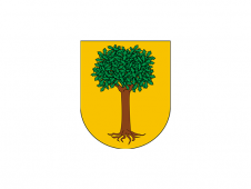 Tu Bandera - Bandera de Arruazu