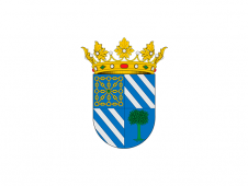 Tu Bandera - Bandera de Artajona