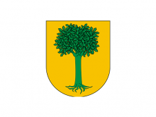 Tu Bandera - Bandera de Artazu
