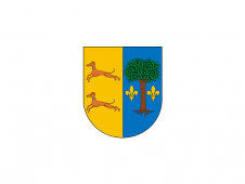 Tu Bandera - Bandera de Vidaurreta