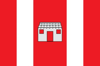 Tu Bandera - Bandera de Nueva Villa de las Torres