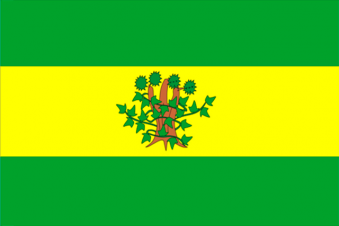 Tu Bandera - Bandera de Oroso