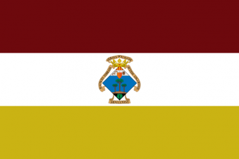 Tu Bandera - Bandera de Pinós, el/Pinoso