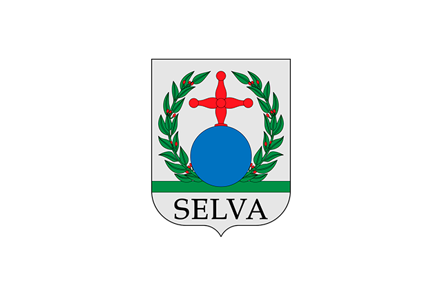 Bandera Selva