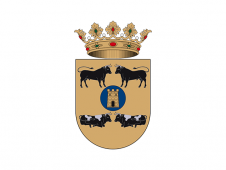 Tu Bandera - Bandera de Torás