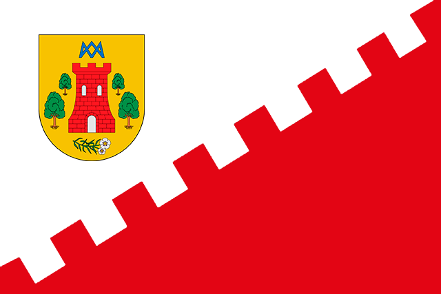 Bandera Torrecilla de la Jara