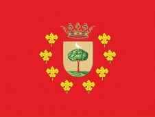 Tu Bandera - Bandera de Trebujena
