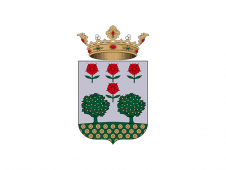 Tu Bandera - Bandera de Verger, el