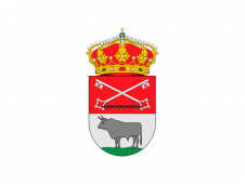 Tu Bandera - Bandera de Vianos