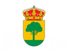 Tu Bandera - Bandera de Villamedianilla