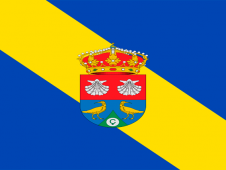 Tu Bandera - Bandera de Zarapicos