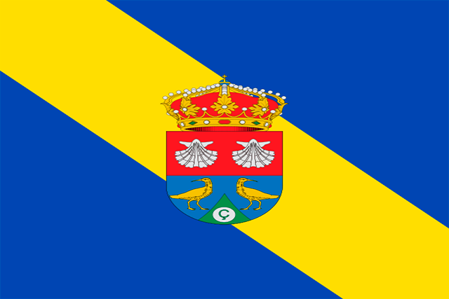 Bandera Zarapicos