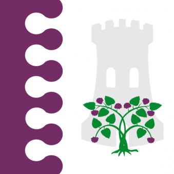 Tu Bandera - Bandera de Zarza de Pumareda, La