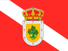 Tu Bandera - Bandera de Zarza, La