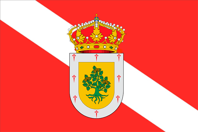 Bandera Zarza, La