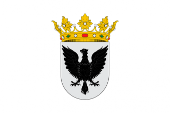 Tu Bandera - Bandera de Ziordia