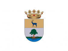 Tu Bandera - Bandera de Anna