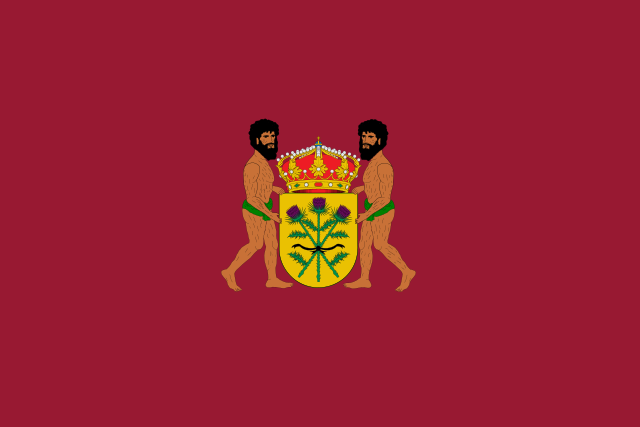 Bandera Ayllón