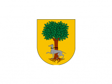 Tu Bandera - Bandera de Barrillas
