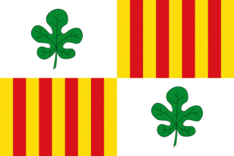 Tu Bandera - Bandera de Figueres