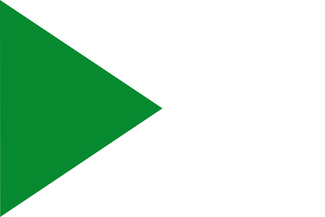 Bandera Hontanar