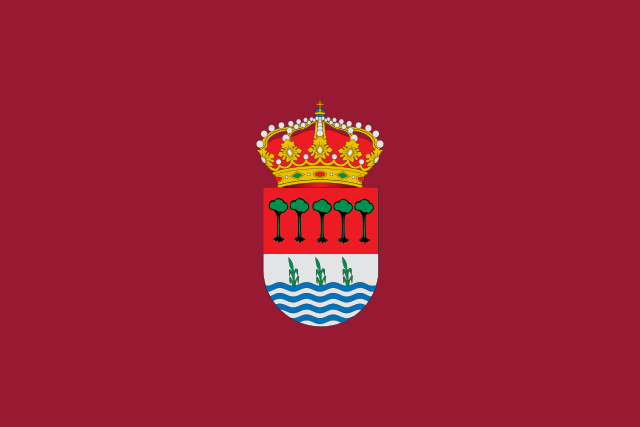 Bandera Laguna de Duero