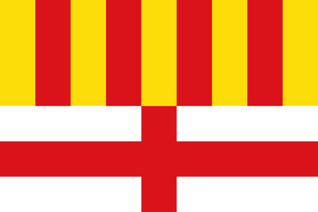 Bandera Manresa